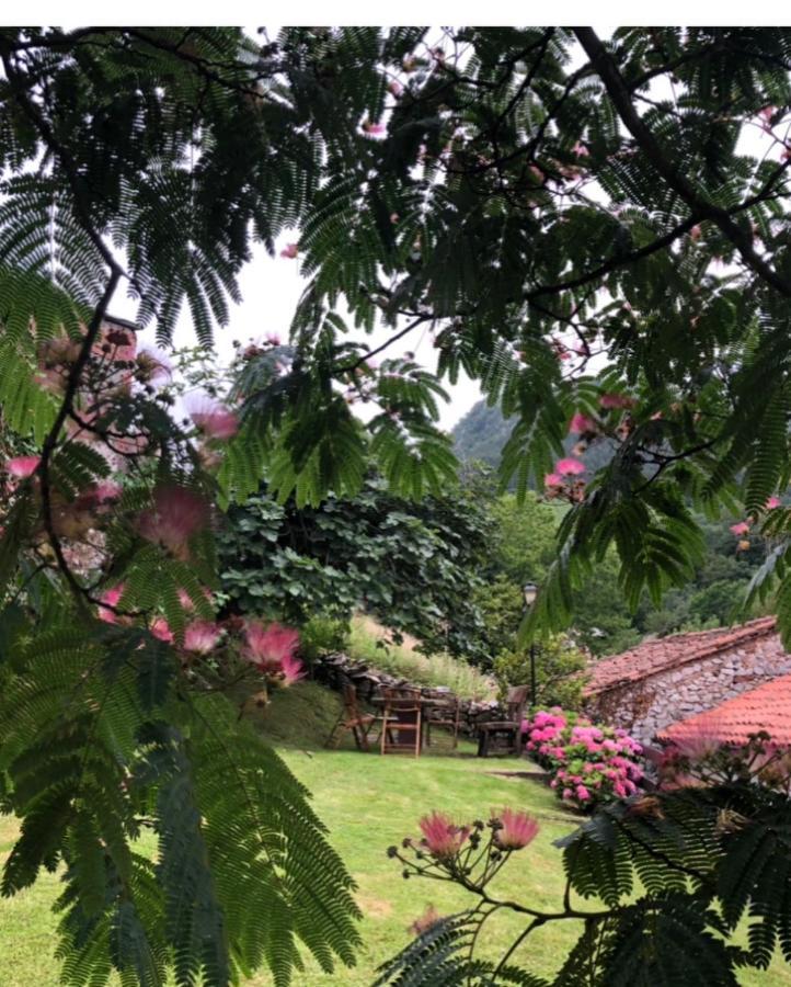 Hdec Hosteria De Castaneda Alojamiento Turistico Puente Viesgo Buitenkant foto